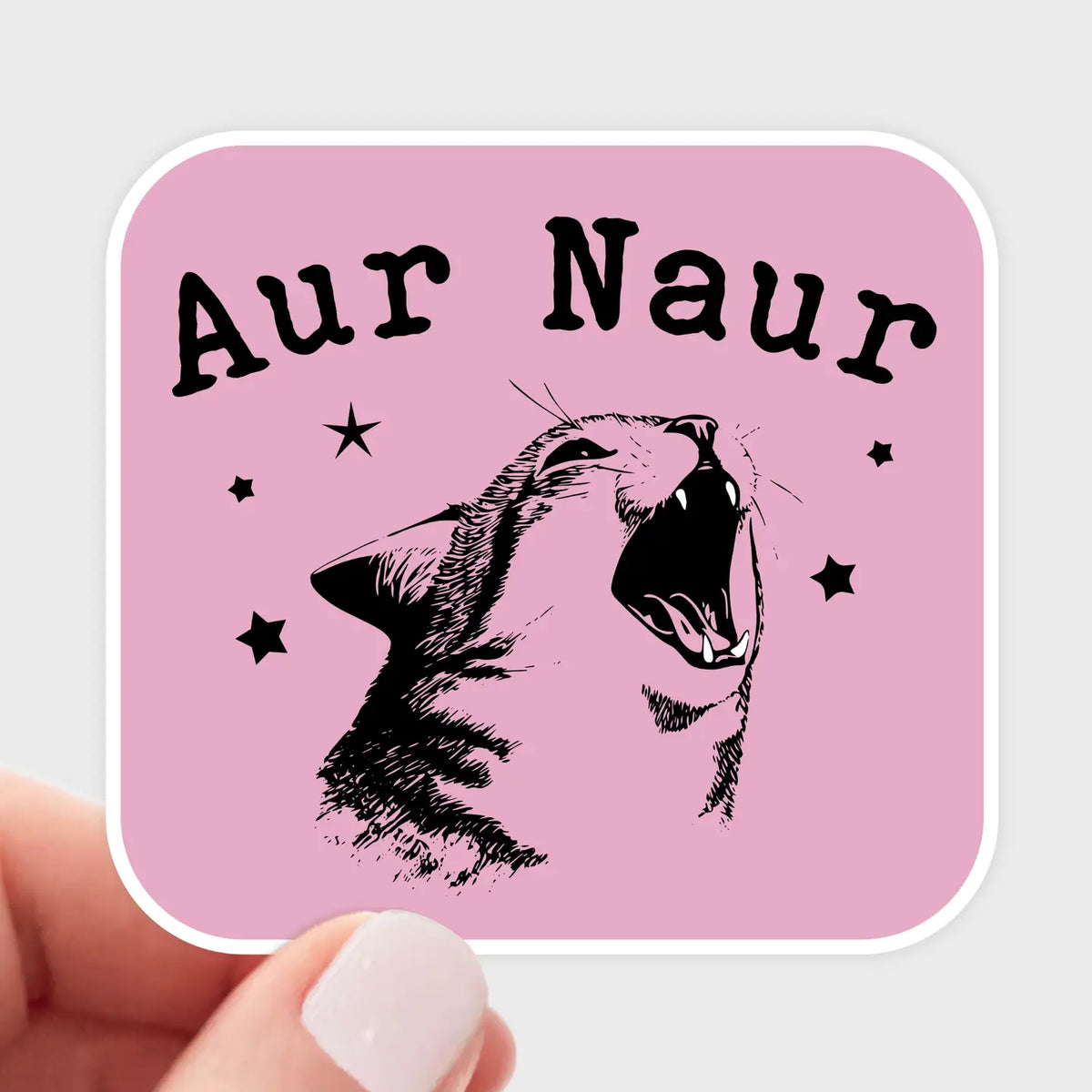 Aur Naur Kitty Sticker