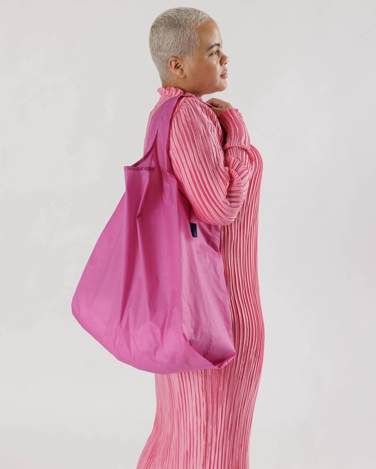 Big Baggu Carry-All