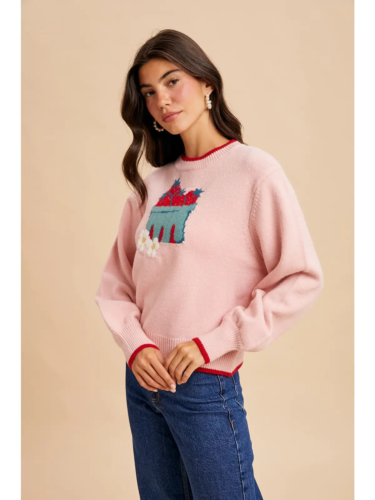 Strawberry Carton Sweater