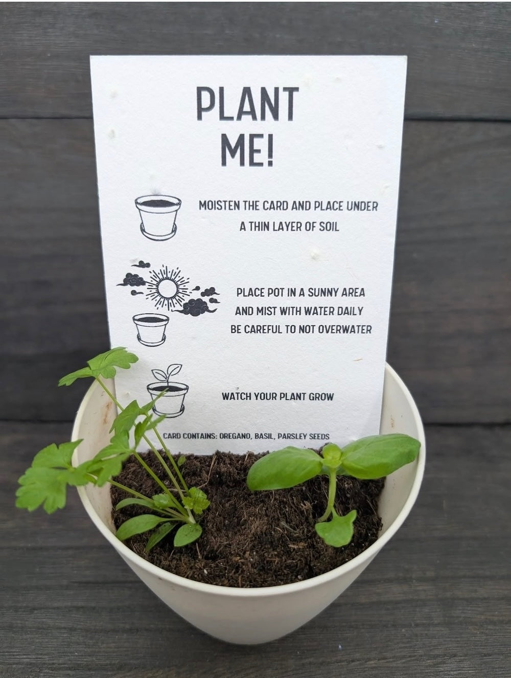 Thanking You : Plantable Herb Seeded Card